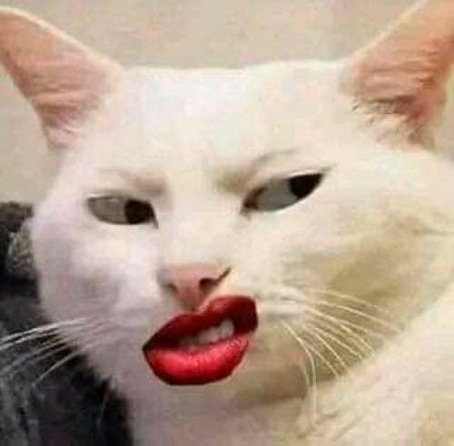 meme khinh bỉ dân văn phòng