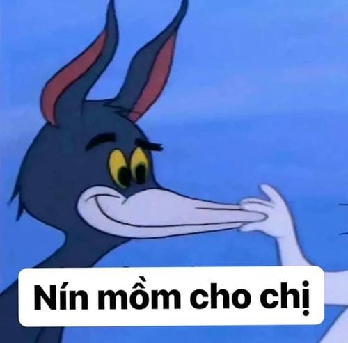 meme khinh bỉ mặt lạnh