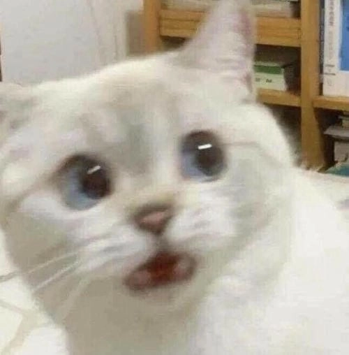 meme gương mặt căng thẳng
