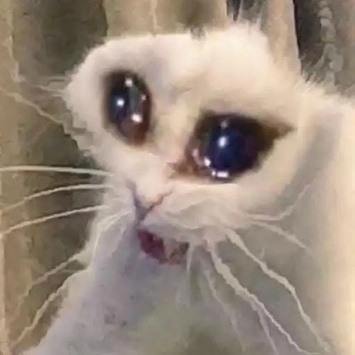Meme với nét mặt sợ hãi