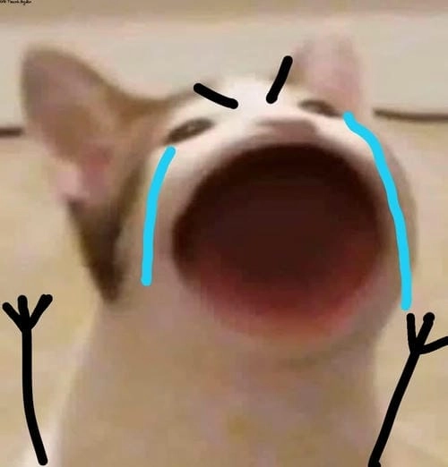meme con mèo sợ hãi cực vui