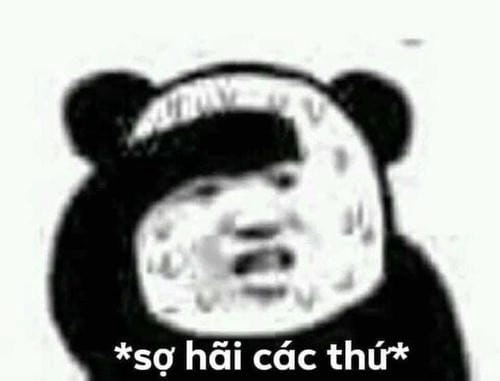 hình ảnh meme đầy lo lắng