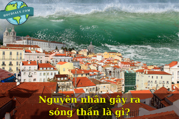 Nguyên nhân gây ra sóng thần là gì?