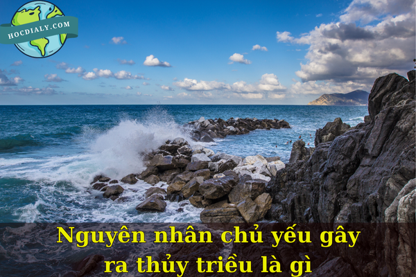 Nguyên nhân chủ yếu gây ra thủy triều là gì?