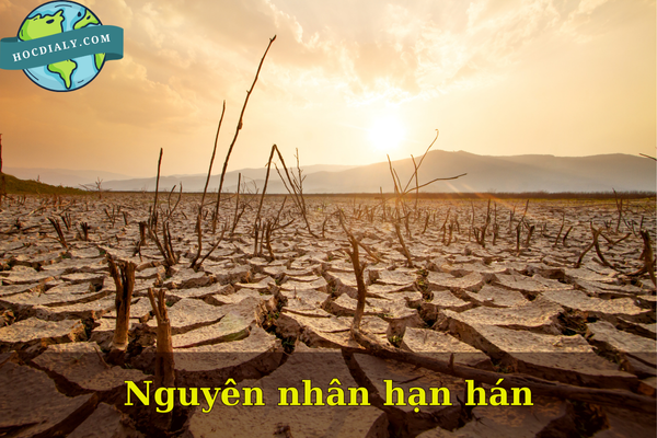 Nguyên nhân hạn hán