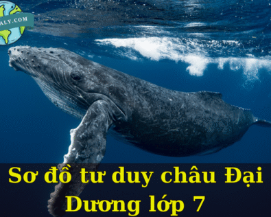 Sơ đồ tư duy châu Đại Dương lớp 7 chi tiết dễ nhớ nhất
