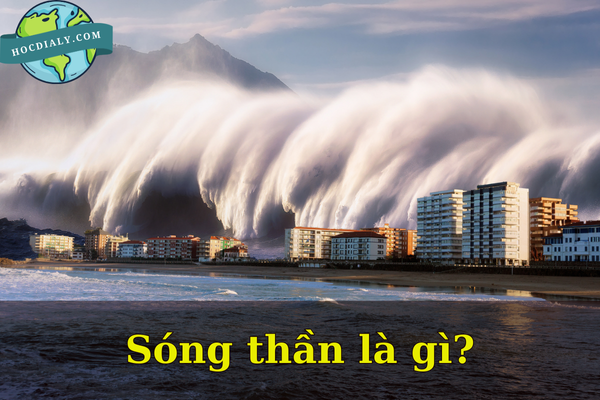 Những dấu hiệu và nguyên nhân gây ra sóng thần là gì?