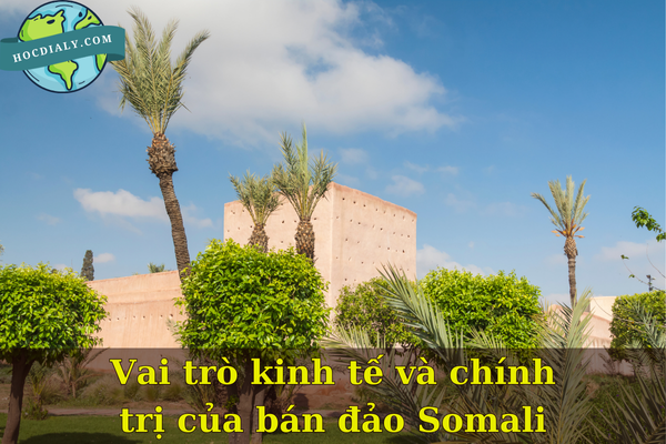 Vai trò kinh tế và chính trị của bán đảo Somali