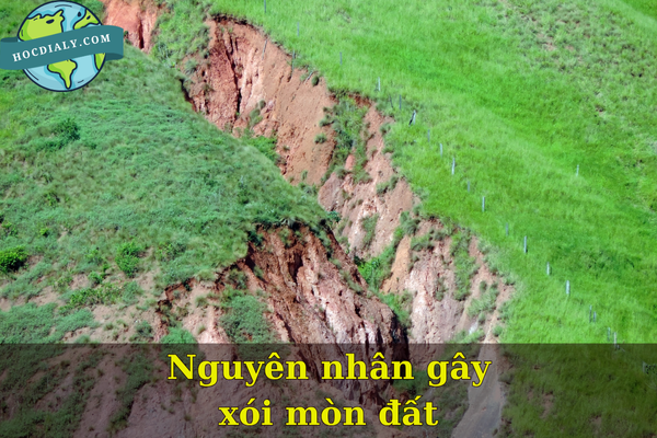 Nguyên nhân gây xói mòn đất