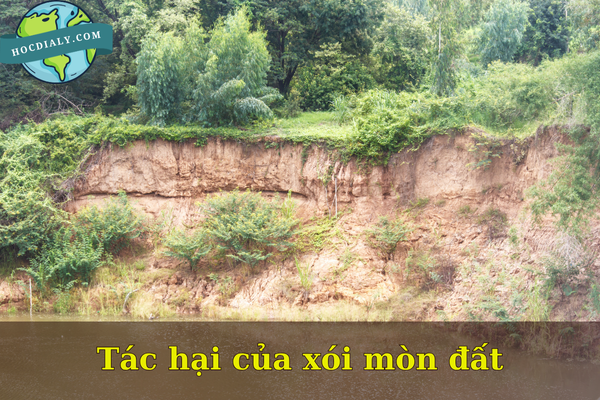 Tác hại của xói mòn đất